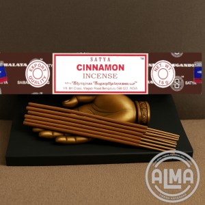 CINNAMON SATYA montaje envato con logo